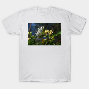 Honeysuckle T-Shirt